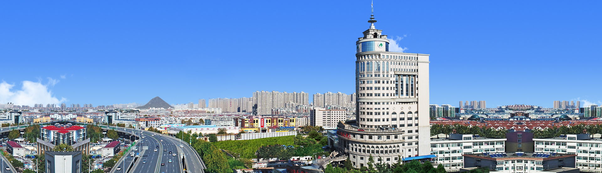 山东金年金字招牌诚信至上集团有限公司2026年度招聘简章